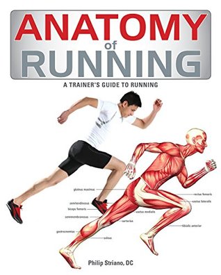 Download Anatomy of Running: A Trainer's Guide to Running - Philip Striano | PDF