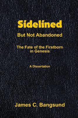 Read online Sidelined But Not Abandoned: The Fate of the Firstborn in Genesis - A Dissertation - James C. Bangsund file in ePub