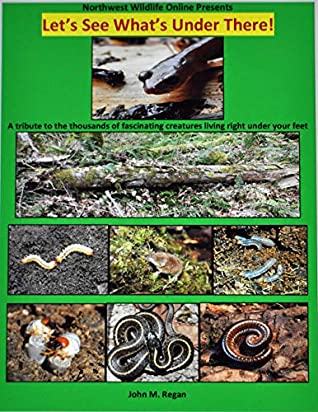 Read Let's See What's Under There!: A tribute to the thousands of fascinating creatures living right under your feet - John Regan file in ePub