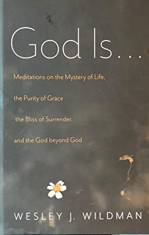 Read God Is . . .: Meditations on the Mystery of Life, the Purity of Grace, the Bliss of Surrender, and the God beyond God - Wesley J. Wildman file in ePub